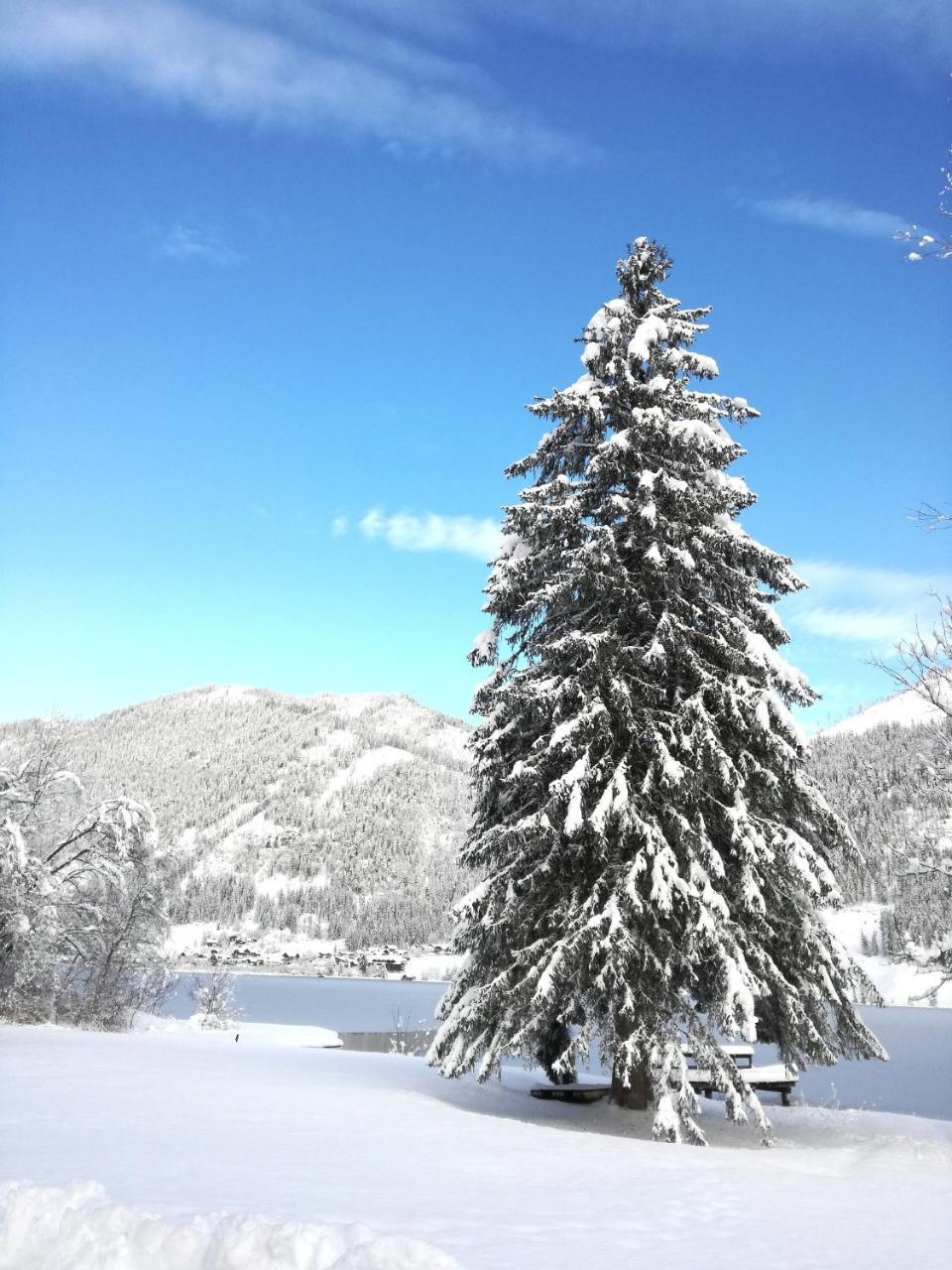 Ferienwohnungen Mitterer Weissensee Exterior foto